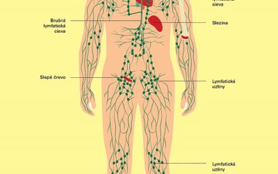 Lymfatický systém